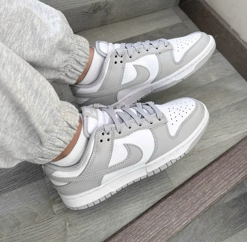 Nike Dunk Gris