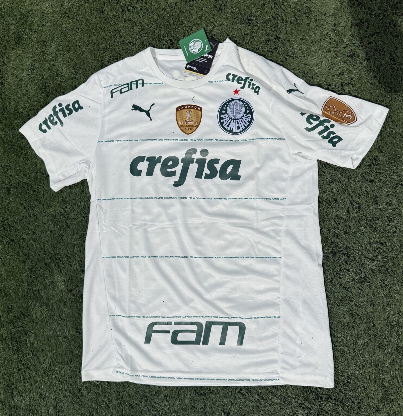 Camiseta Alternativa 2024 Sociedade Esportiva Palmeiras