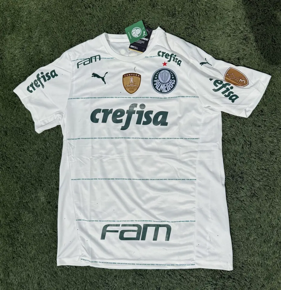 Camiseta Alternativa 2024 Sociedade Esportiva Palmeiras