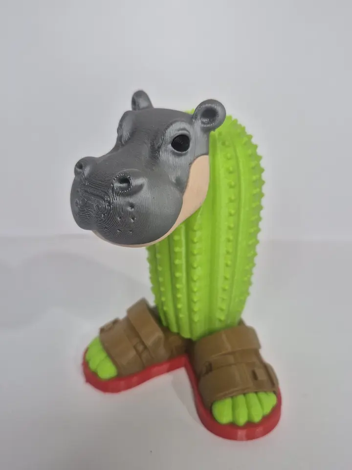 Meme- Cacto Hippopotamo