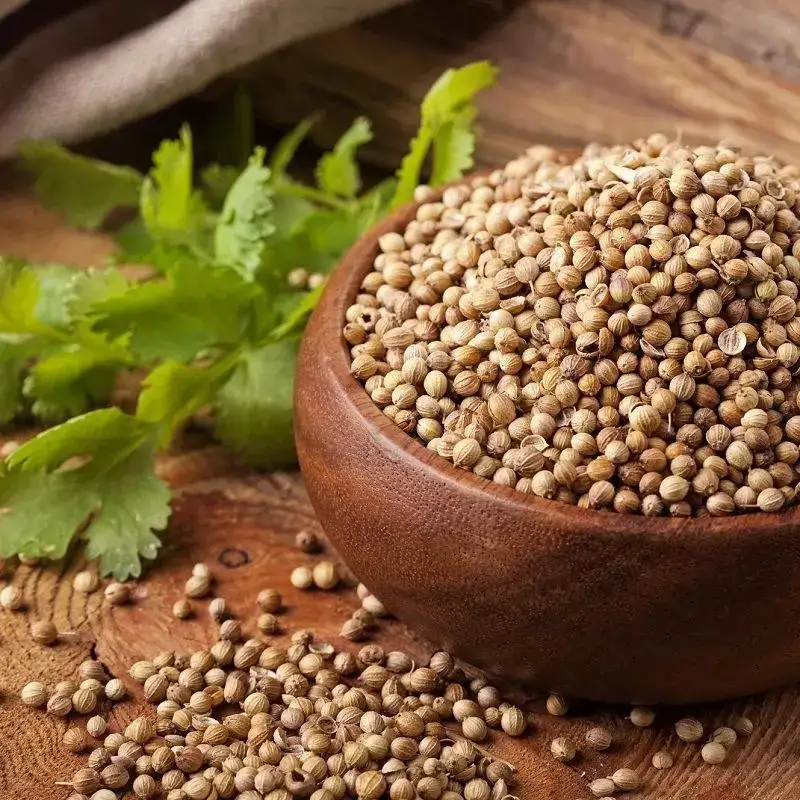 Coriando en Grano