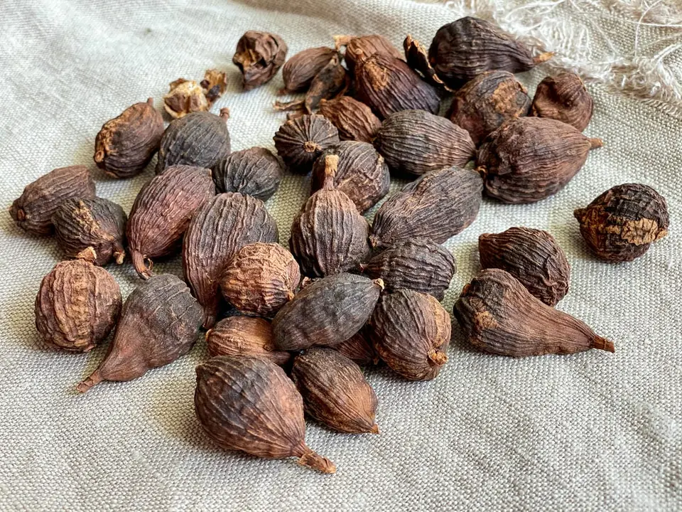 Cardamomo Negro Semilllas
