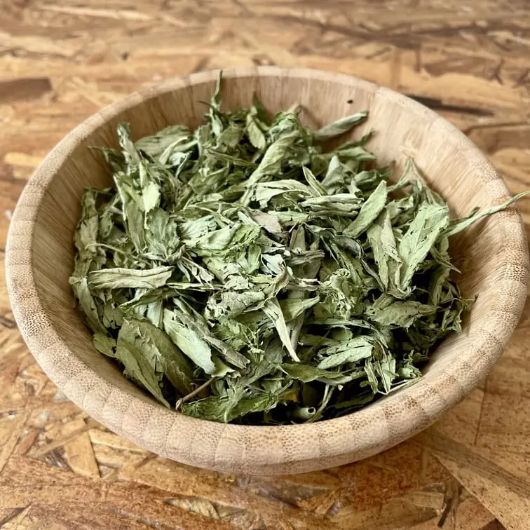 Stevia en Hojas