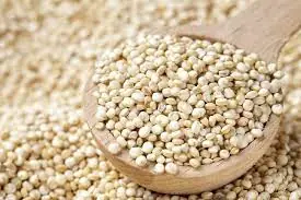 Quinoa Blanca Orgánica Pre-Lavada