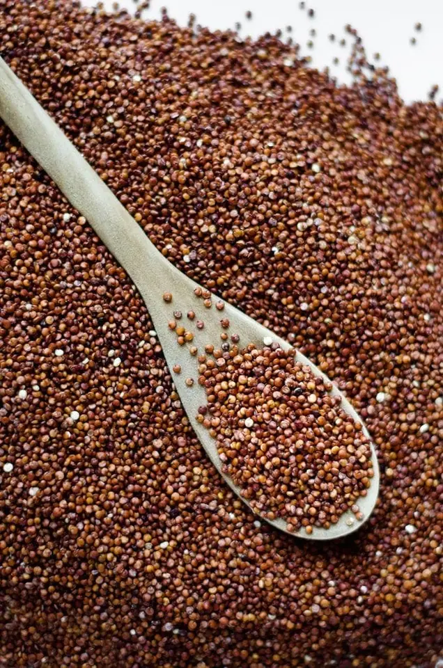 Quinoa Roja Orgánica Pre-Lavada