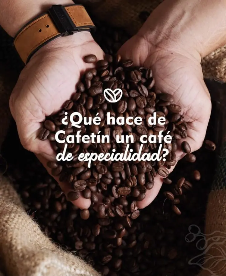 Café Orgánico Tostado Artesanal CAFETÍN