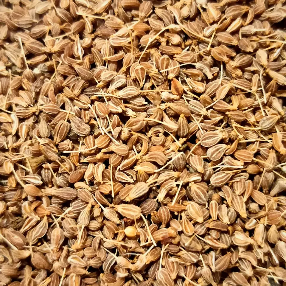 Anis en Grano