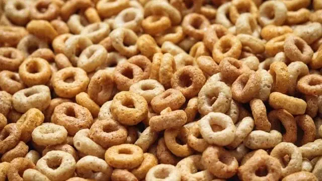 Aros de Avena y Miel