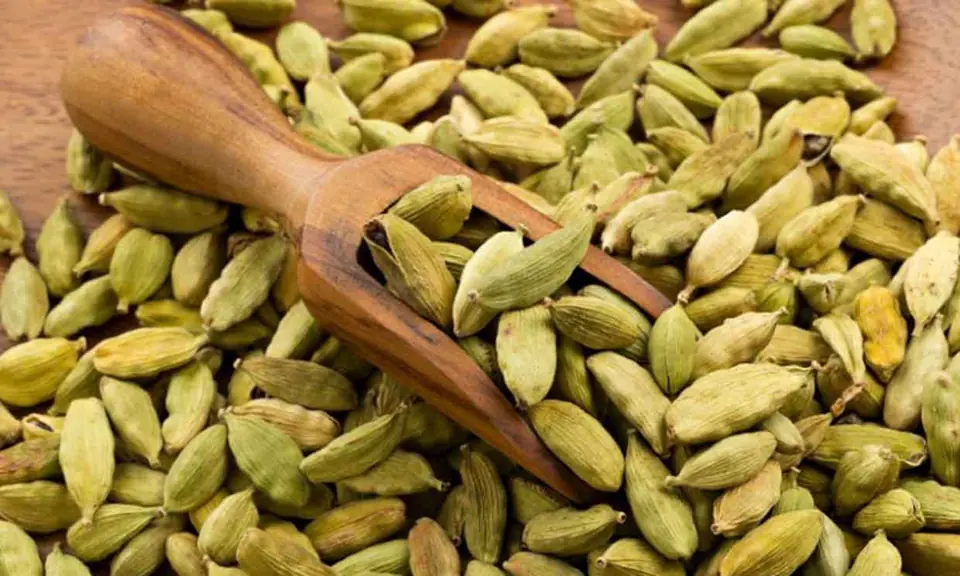 Cardamomo Semillas