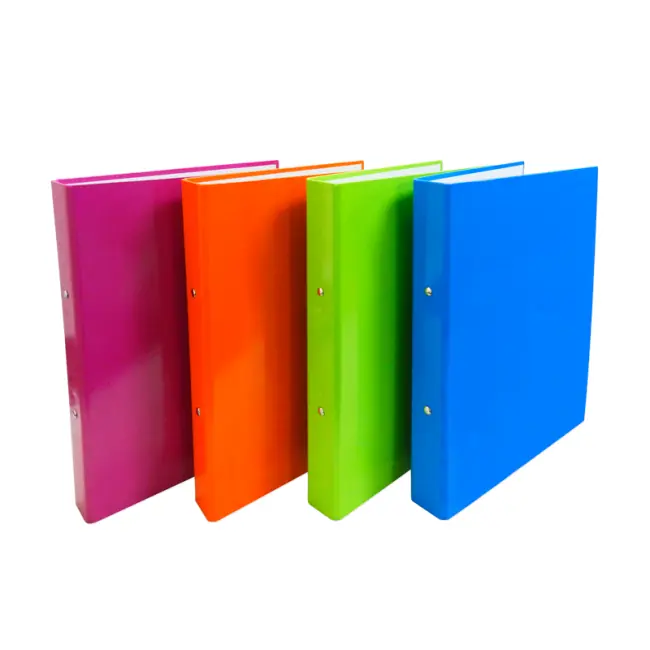 Archivador A4 2 Anillos Liso Colores Fuertes