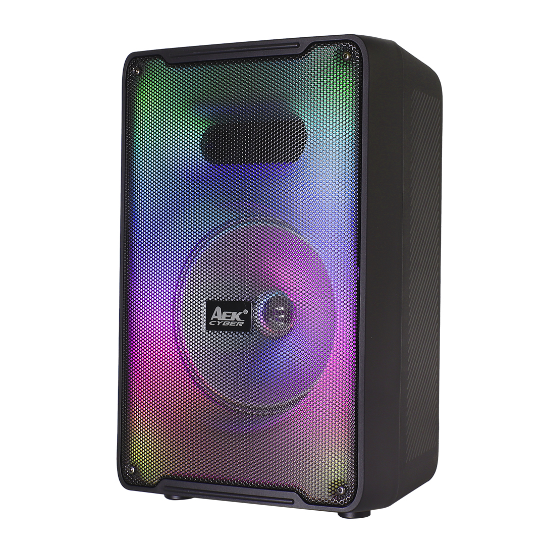 PARLANTE PORTABLE AEK 8″ S-10819