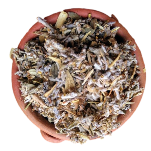 SALVIA DE LA PUNA