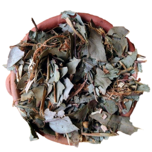 EUCALIPTO