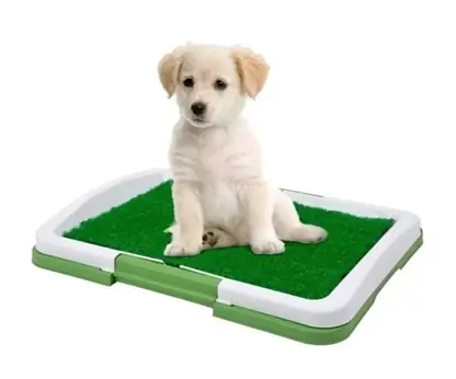 Baño Sanitario Para Perros Gatos Bandeja Mascotas Puppy Potty
