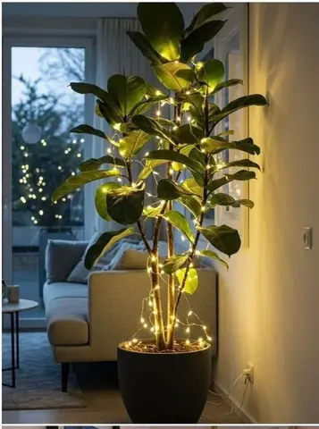 990094 - planta chica