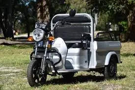 Trike Light Work (40) 100% Eléctrico