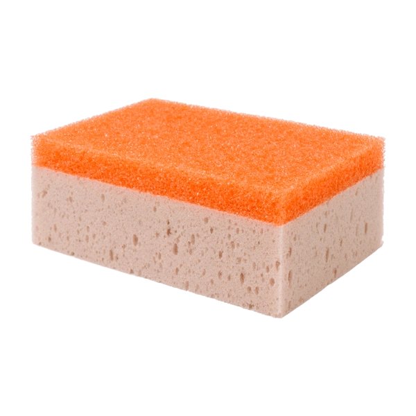 Sweet Potato