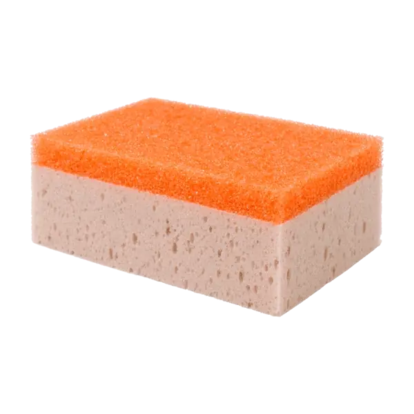 Sweet Potato