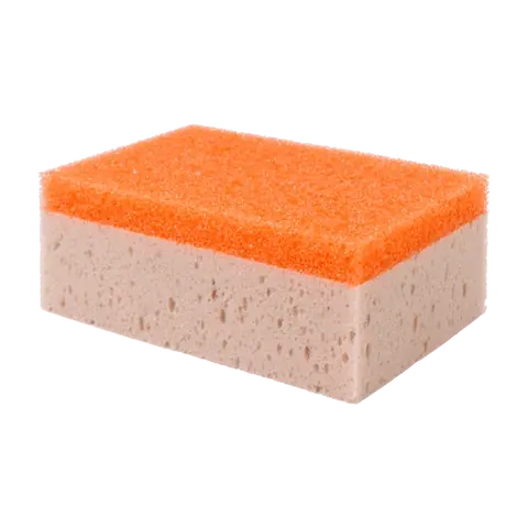 Sweet Potato