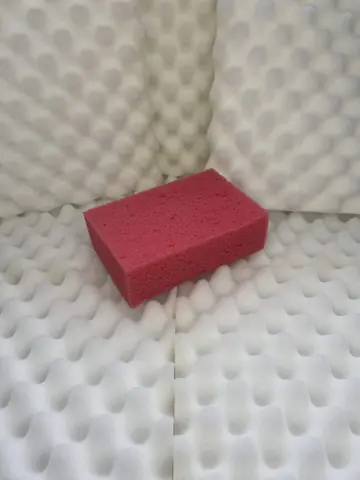 Raspberry