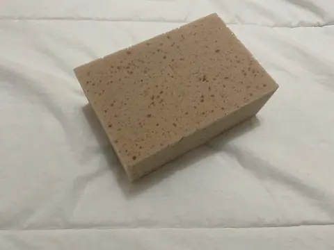 Potato