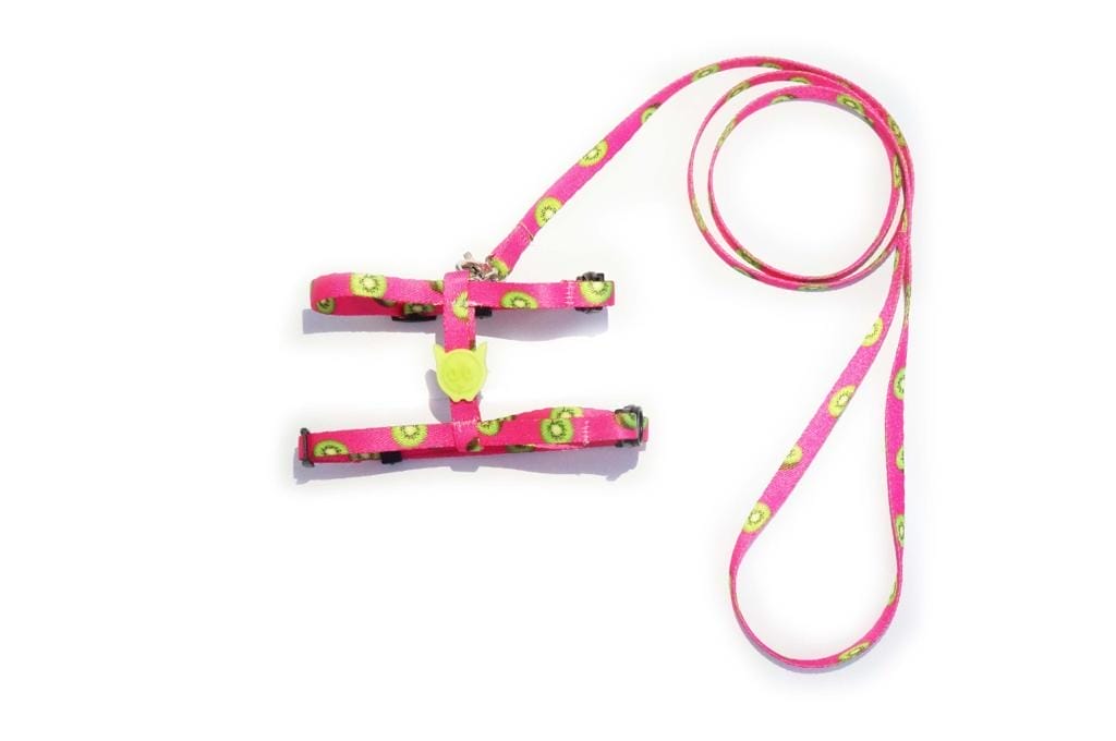 Accesorios