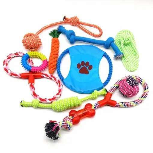 Set de Juguetes para perro