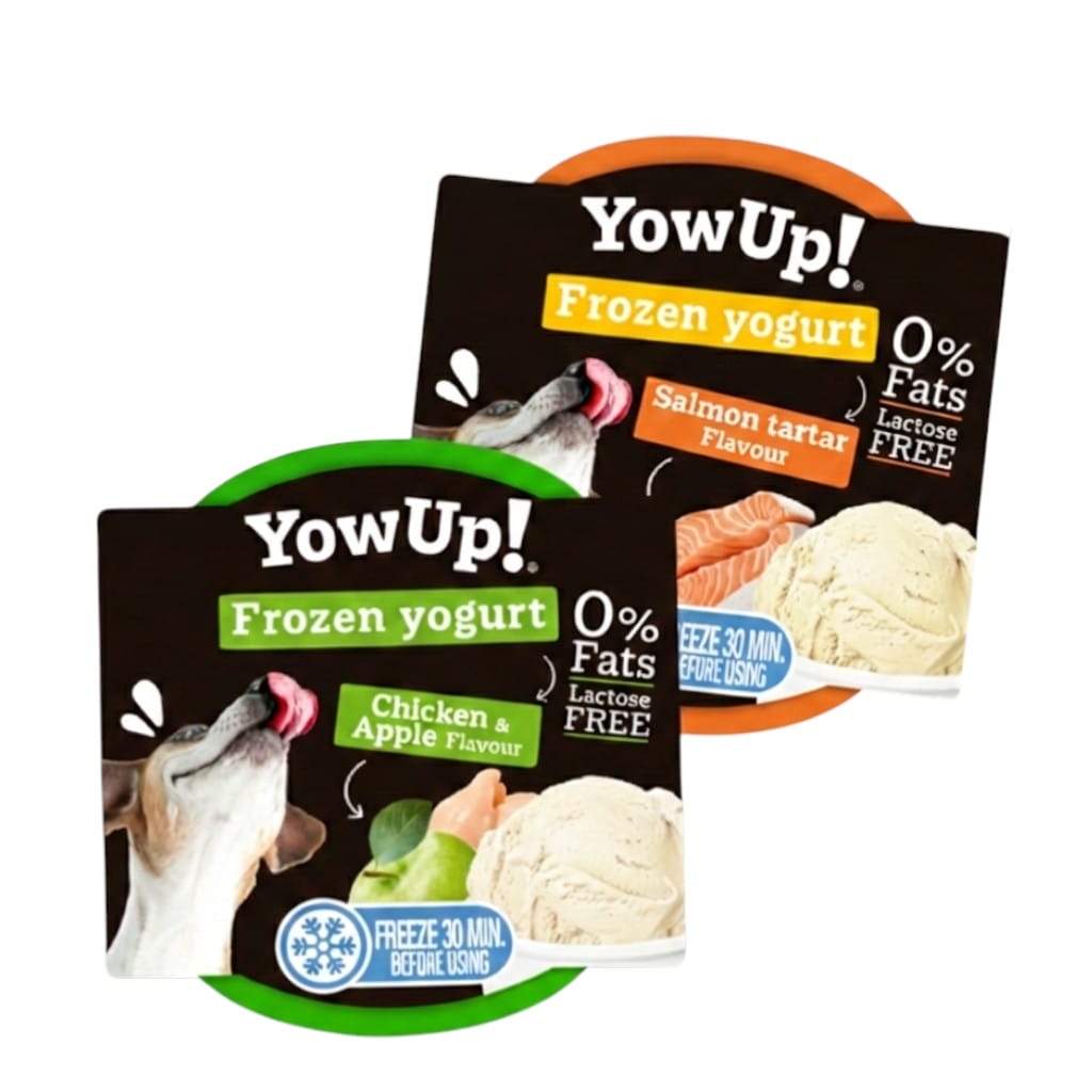 Yogurt Yow Up 110 grs