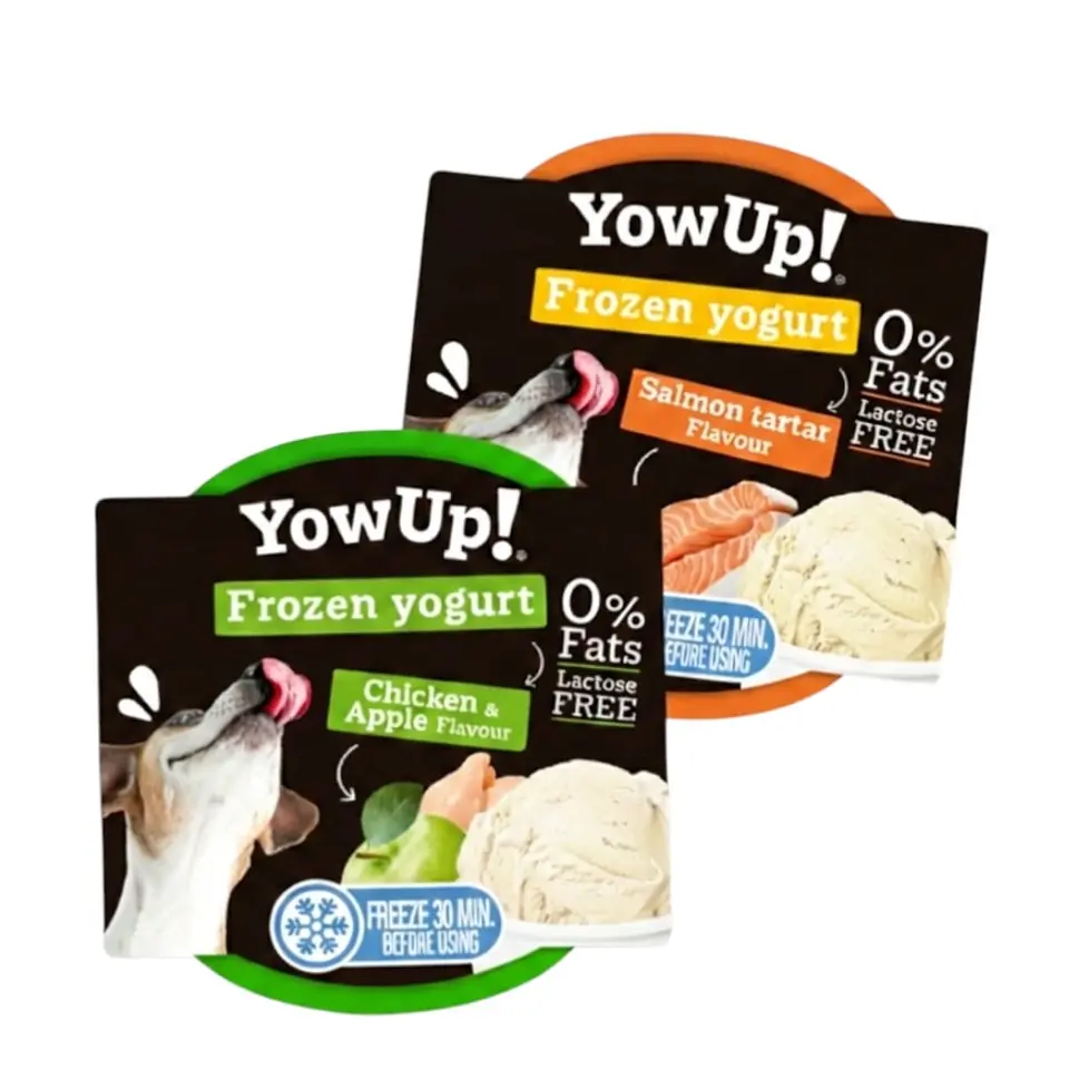 Yogurt Yow Up 110 grs