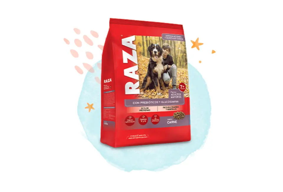 Raza perro más de 7 años