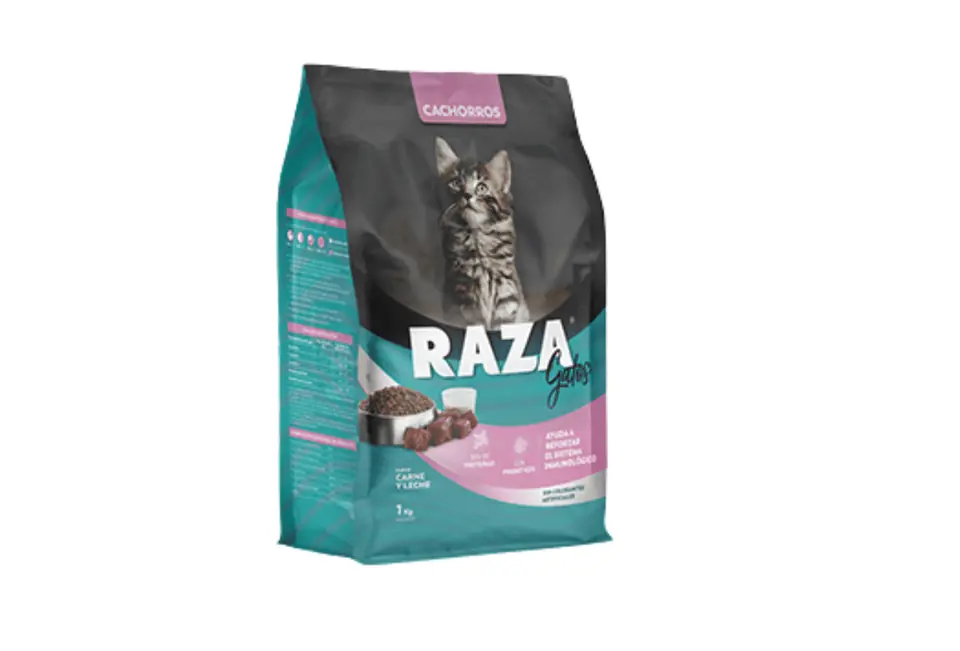 Raza Gato Cachorro