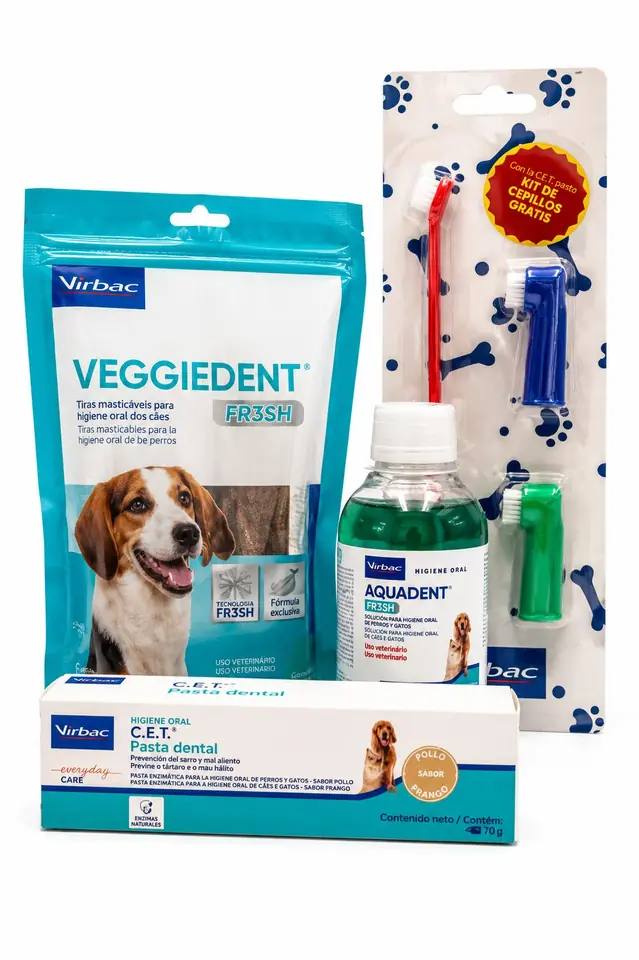 Pack cuidado dental S