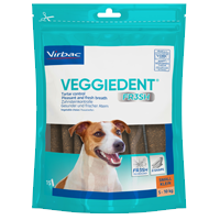 Veggident S