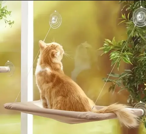 Hamaca para gato