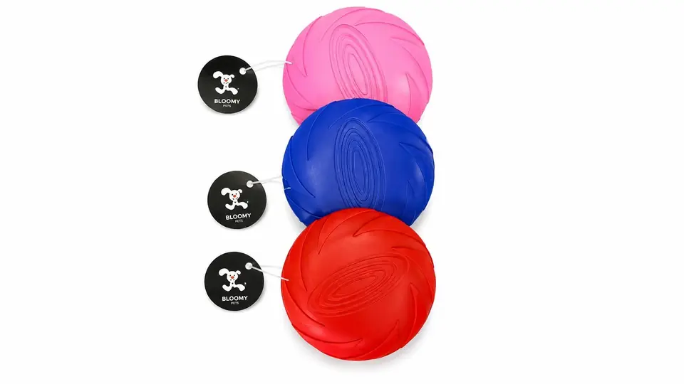 Frisbee