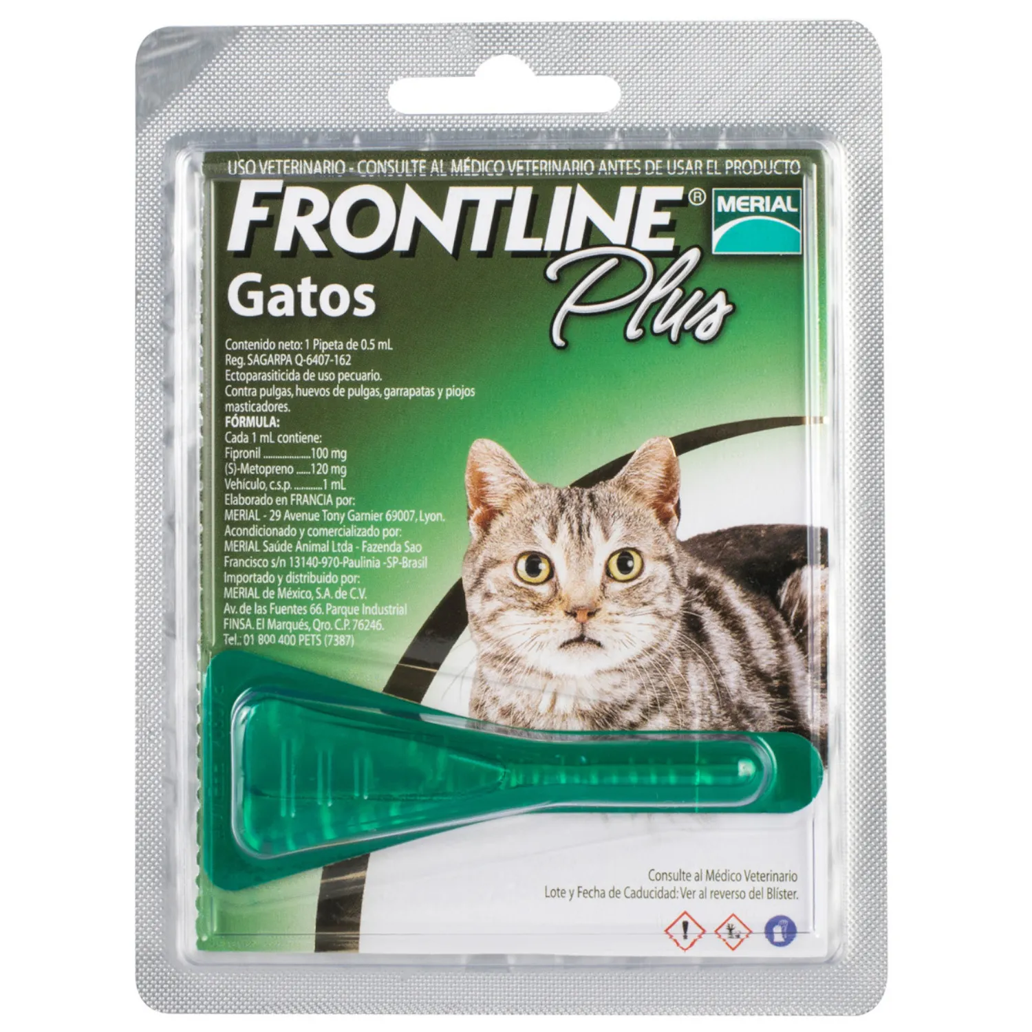Pipeta Frontline plus gatos