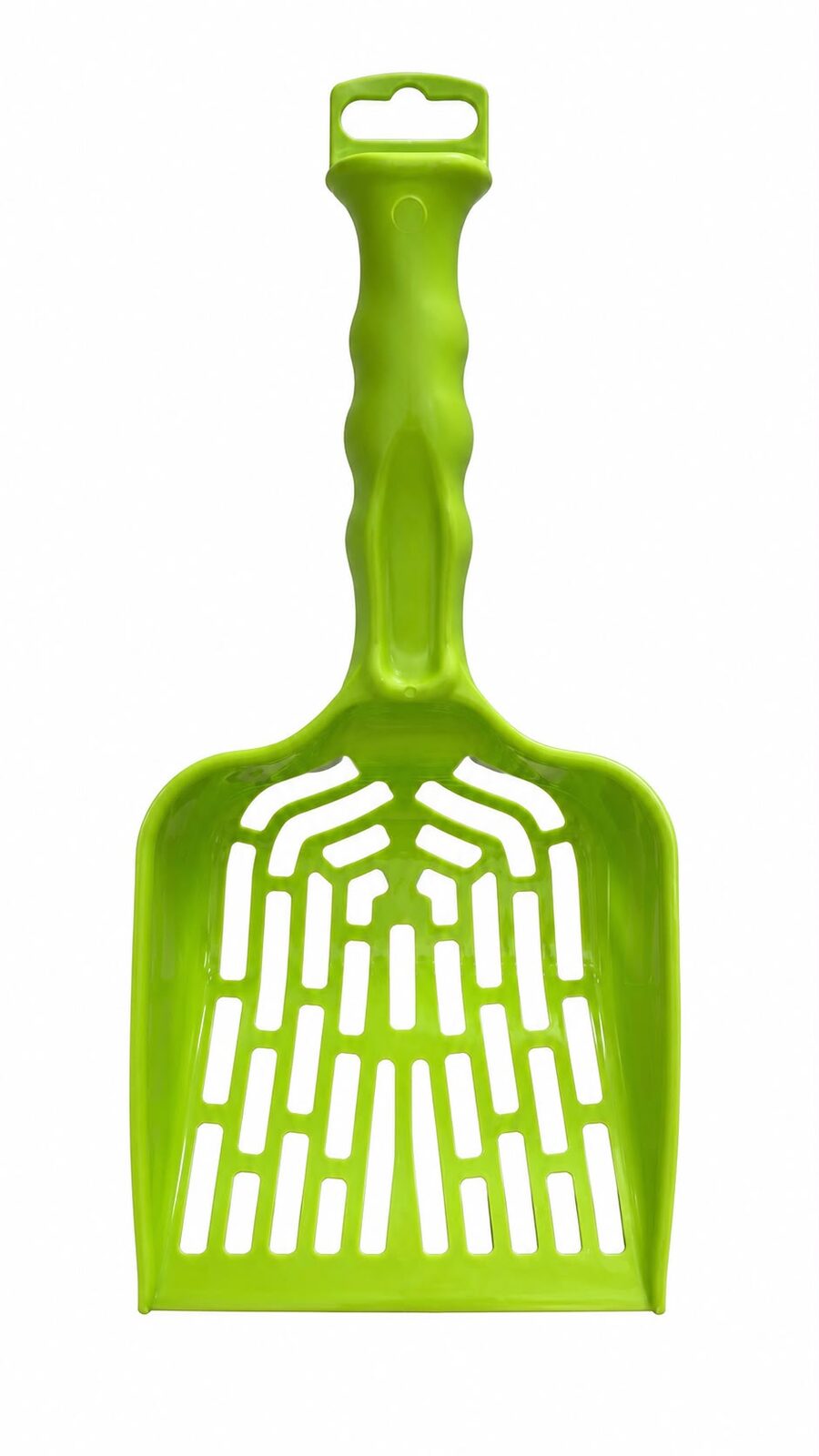 Palita sanitaria