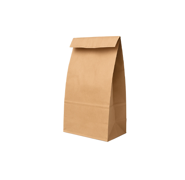 Bolsas De Papel Marrones 22x16x9 (COD1) 1kg