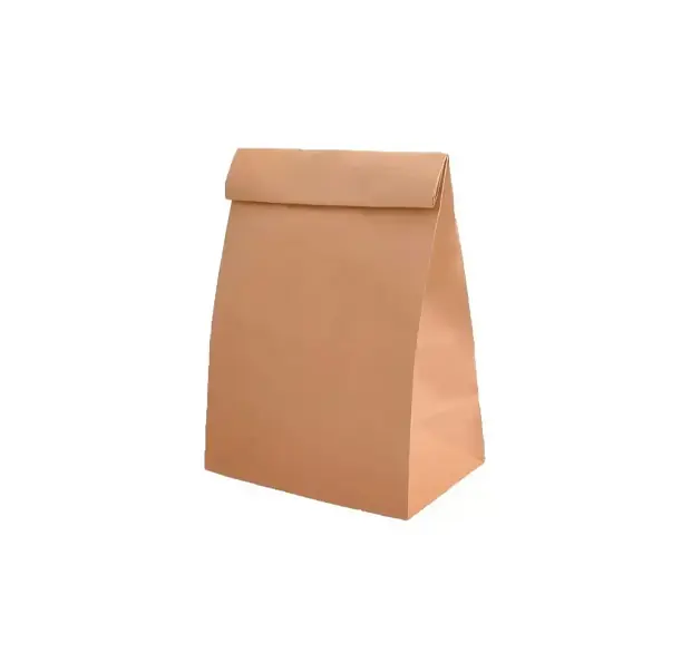 Bolsas para Pedidos 22x35 100 Unidades