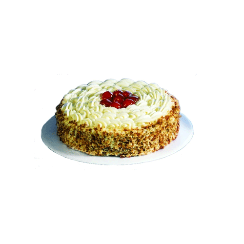 Discos de Espuma 18 cm