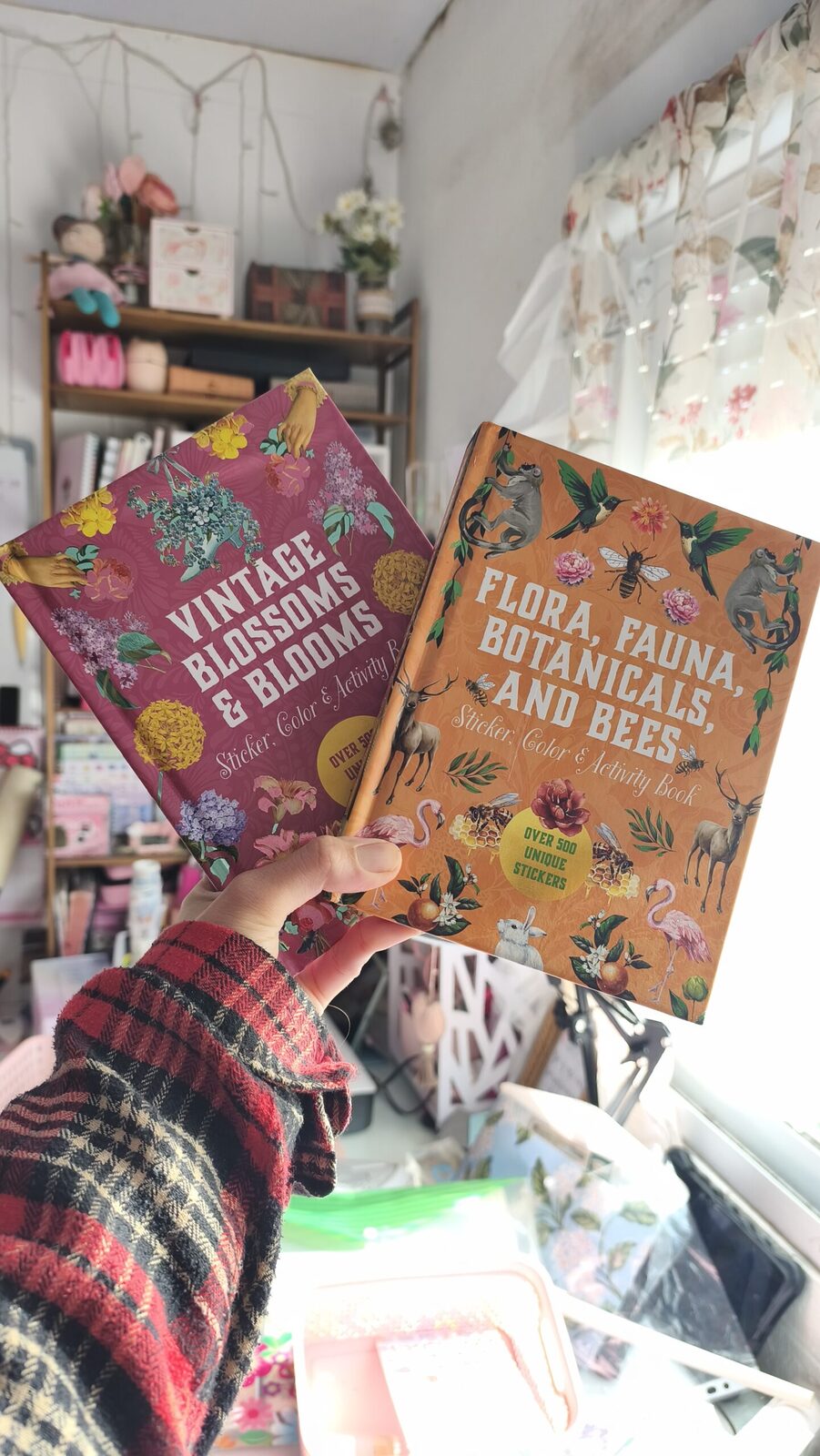 Libros de stickers
