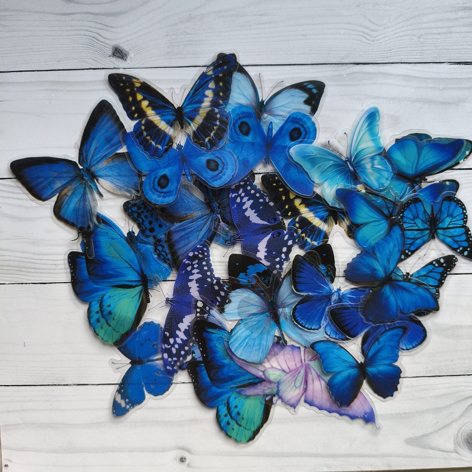 Stickers pet Mariposa azul XL
