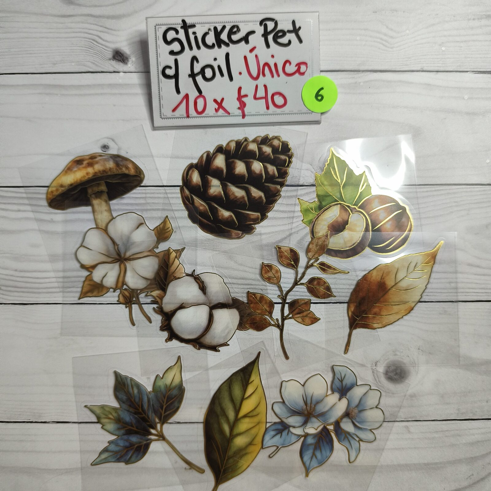 Stickers pet hongos c/foil 6