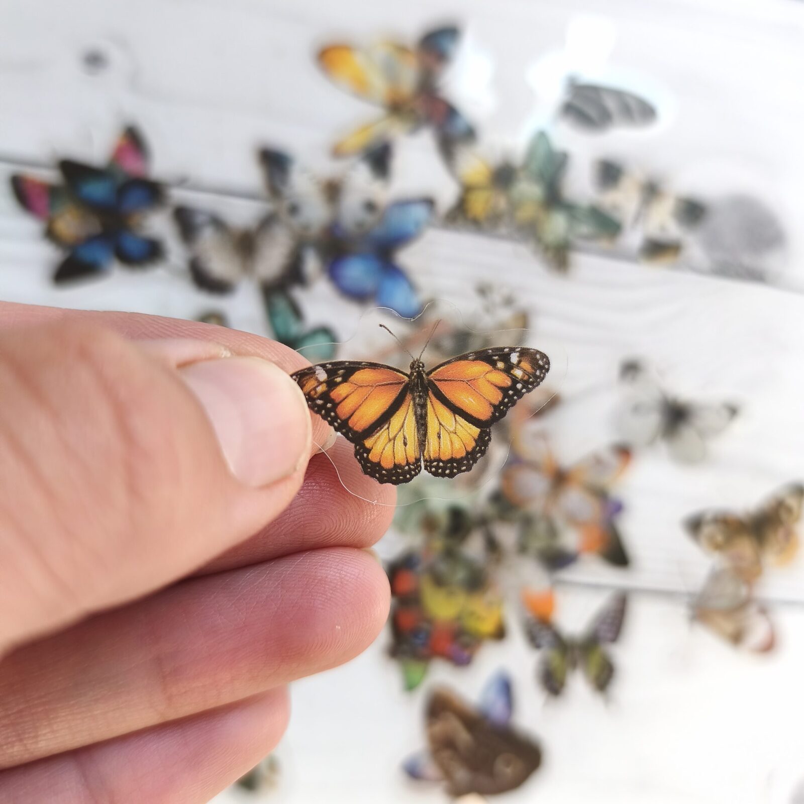 Stickers pet mini Mariposas