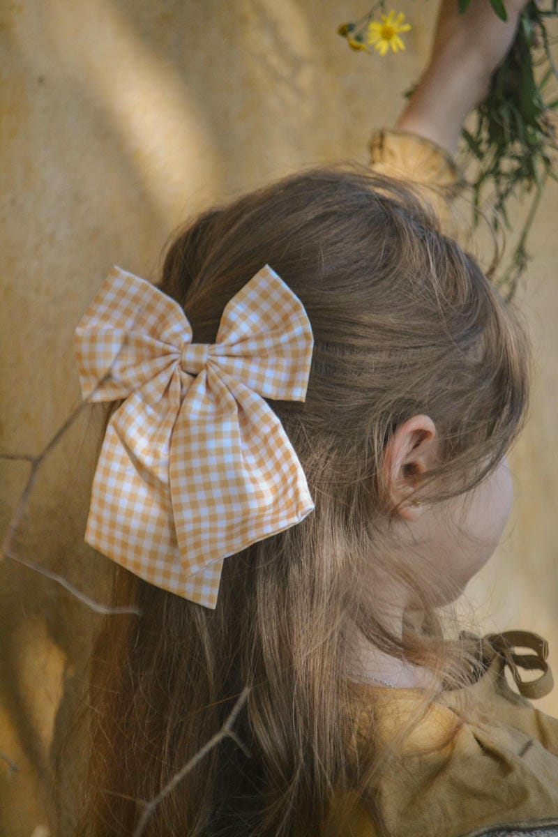 Accesorios