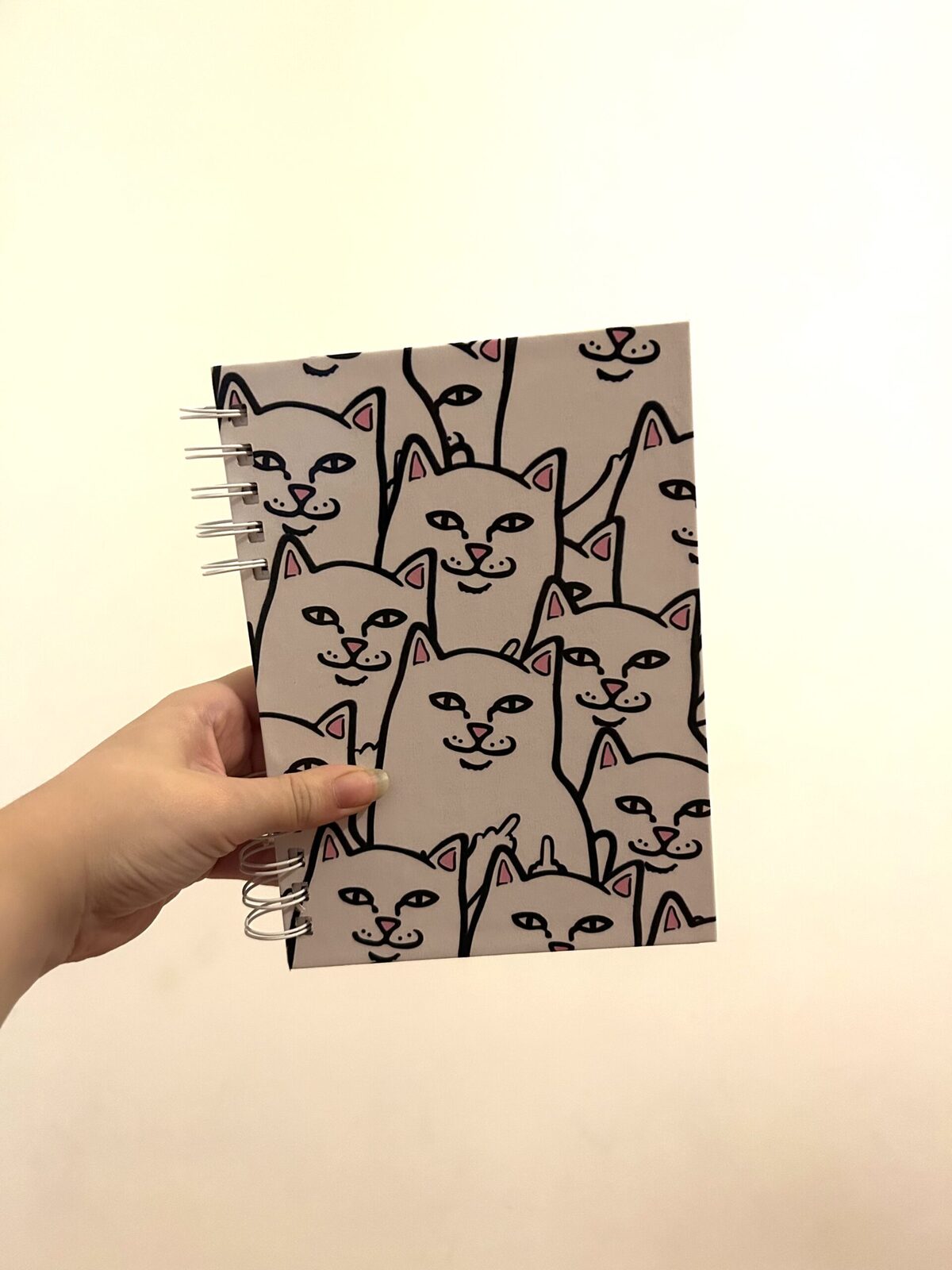 Gatito🖕🏼