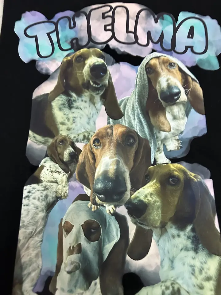 Canguro mascota🐶🐈  (10% de descuento con transferencia)