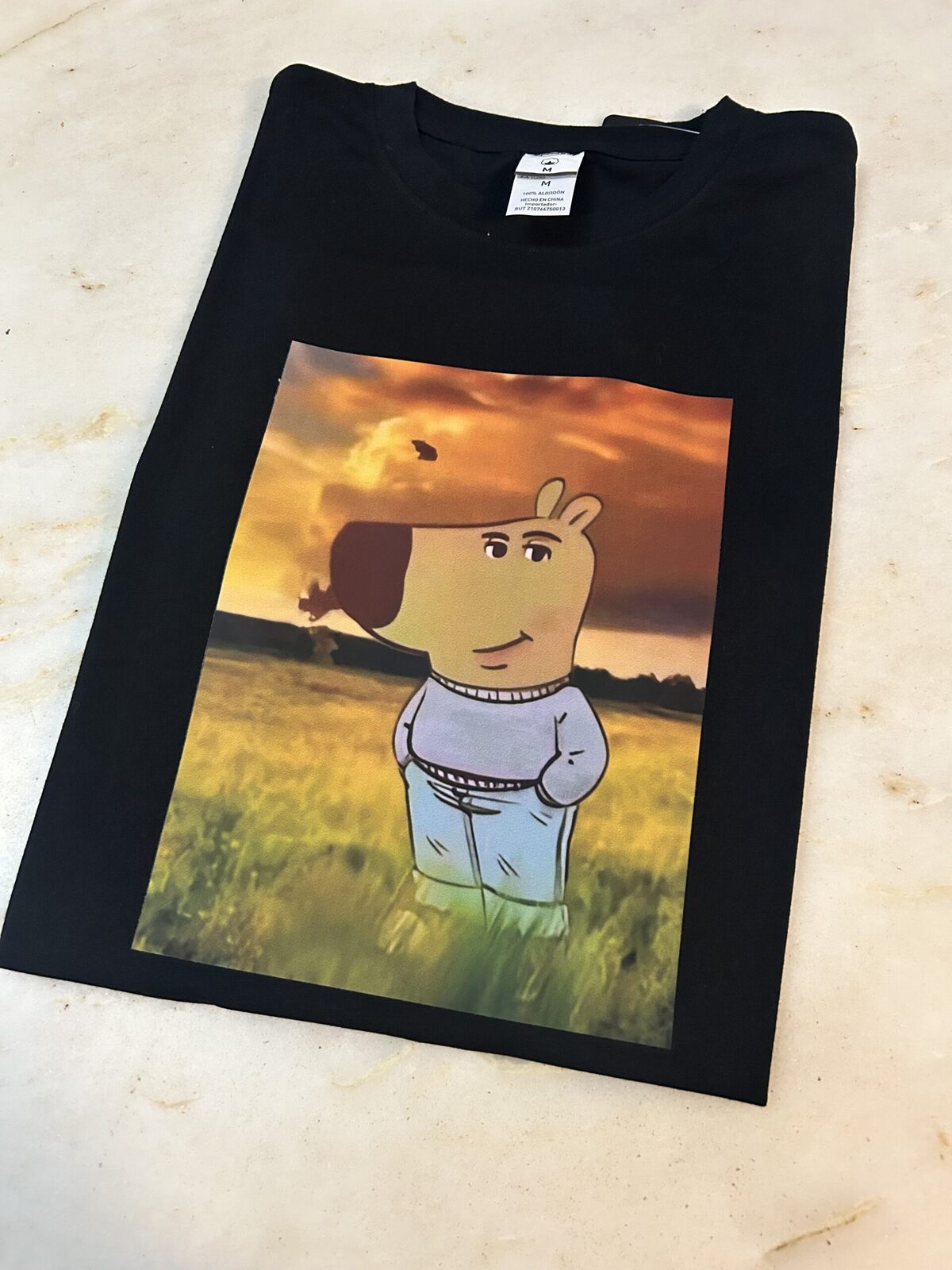 Remera Capichill