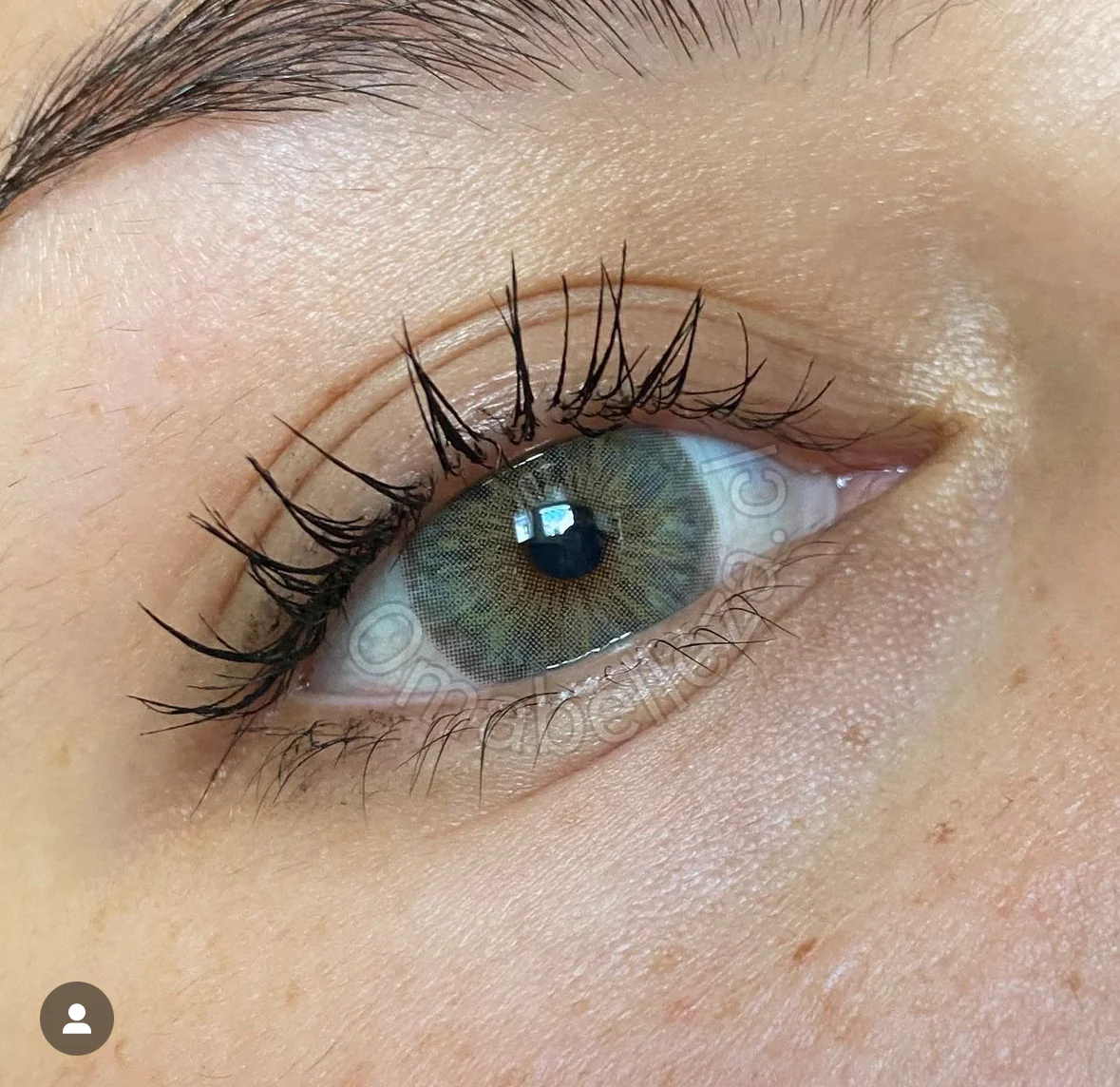 Cleopatra Gray - Meetone / Fresh Lady