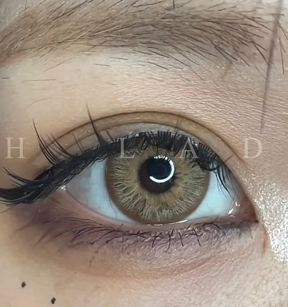 Leopard Brown - Eyeshare
